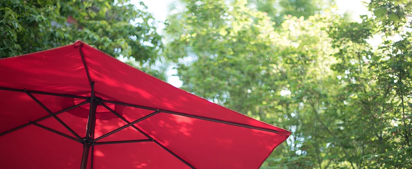 roter Sonnenschirm vor Bäumen 