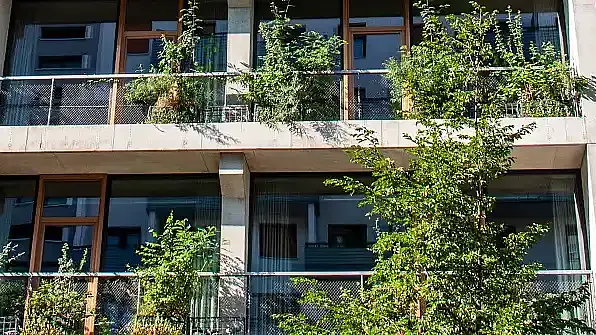 Hausfassade mit vielen Gr&uuml;npflanzen 