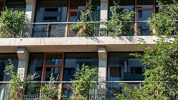 House with many plants