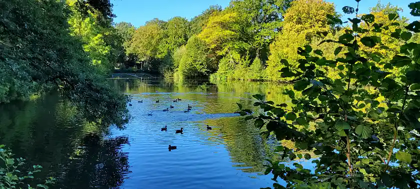 See im Waller Park
