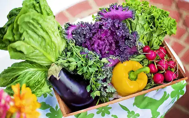 Nutrition on hot days 
