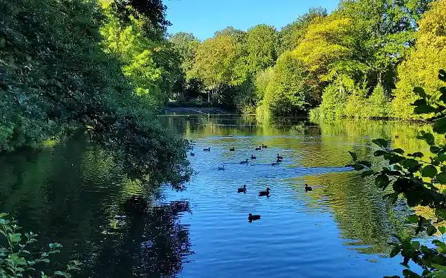 Lake in Waller Park